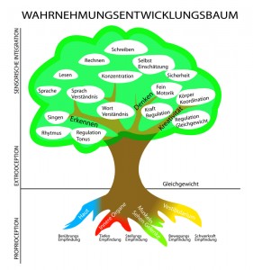 ADHS in der Ergotherapie behandeln