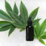 CBD Öl im Alltag: 5 überraschende Anwendungsmöglichkeiten